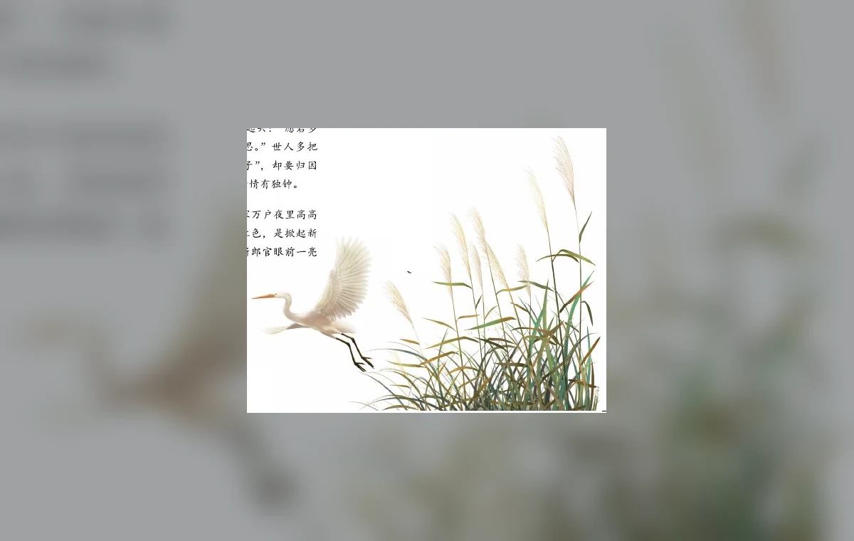 芦苇与白鹭的诗意插图